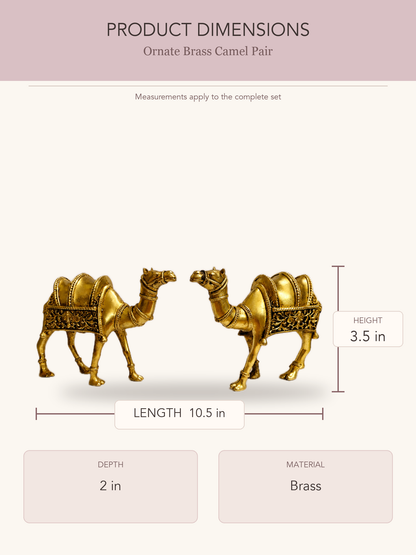 Ornate Brass Camel Pair — clear product dimensions and specifications