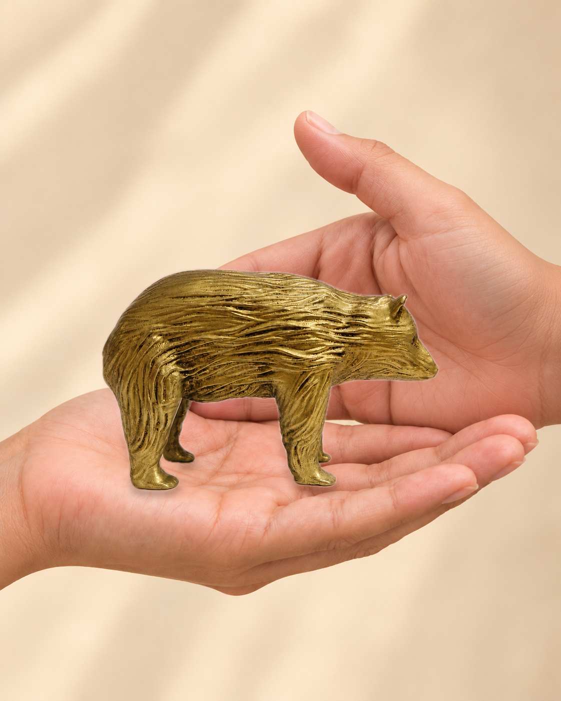Illustrative scale view of Varaha Brass Idol resting on an adult open palm; listed height 2.5 inches.