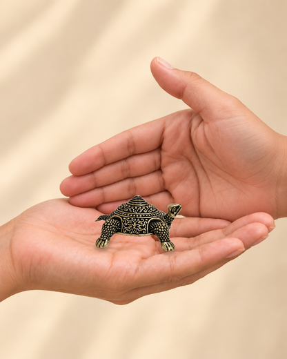 Illustrative scale view of Vastu Tortoise Brass Box resting on an adult open palm; listed height 1.25 inches.